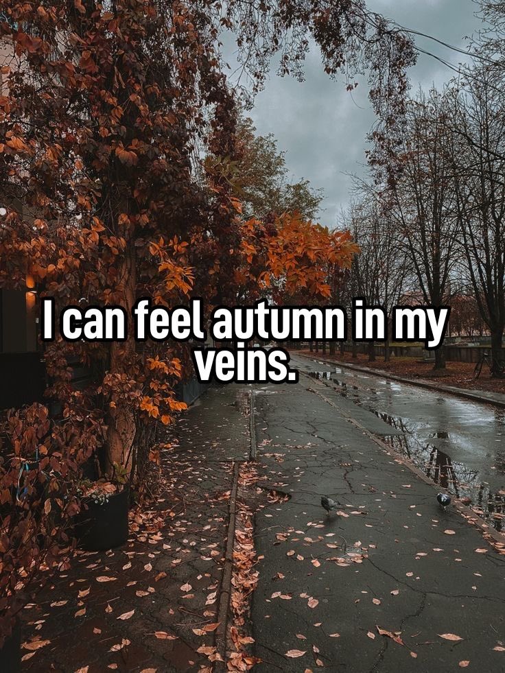 COZYVIBES (@thespookygirll) on Twitter photo 