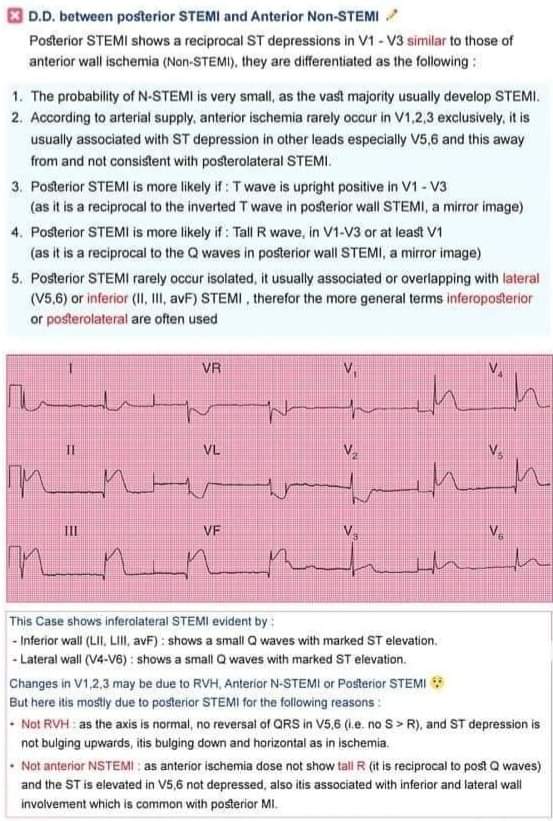 The Heart tweet media