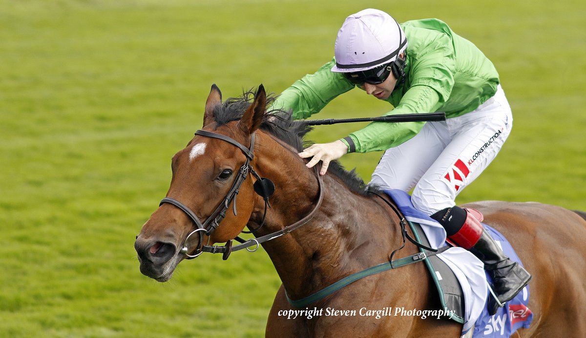 Steven Cargill (@steven_cargill) on Twitter photo 3rd win for 4yo f BREEGE <a href="/ctkjockey/">Colin Keane</a> in 7f G2 City of York Stakes <a href="/yorkracecourse/">York Racecourse</a> today for <a href="/coolmorestud/">Coolmore</a> Starspangledbanner <a href="/johnquinnracing/">Sean Quinn</a> 3rd win for 4yo f BREEGE <a href="/ctkjockey/">Colin Keane</a> in 7f G2 City of York Stakes <a href="/yorkracecourse/">York Racecourse</a> today for <a href="/coolmorestud/">Coolmore</a> Starspangledbanner <a href="/johnquinnracing/">Sean Quinn</a>