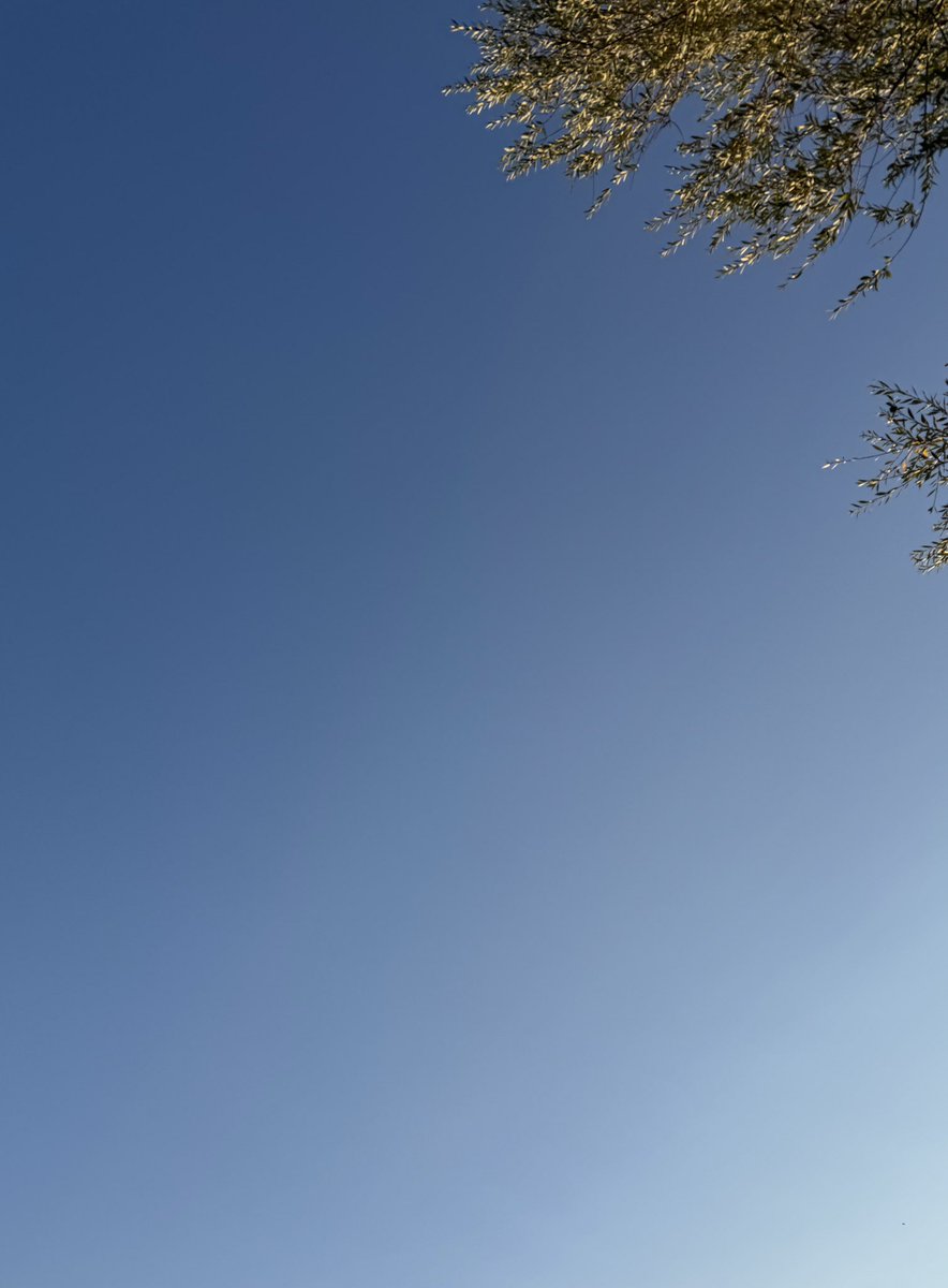 CarpStudy's tweet image. STRIKES!!! Doctors, Train Drivers and now the ChemTrail lot! Sick of it!