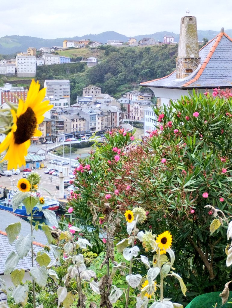 For all of you that do not know #Asturias...my land is a natural paradise with beautiful sea villages, like this one #Luarca