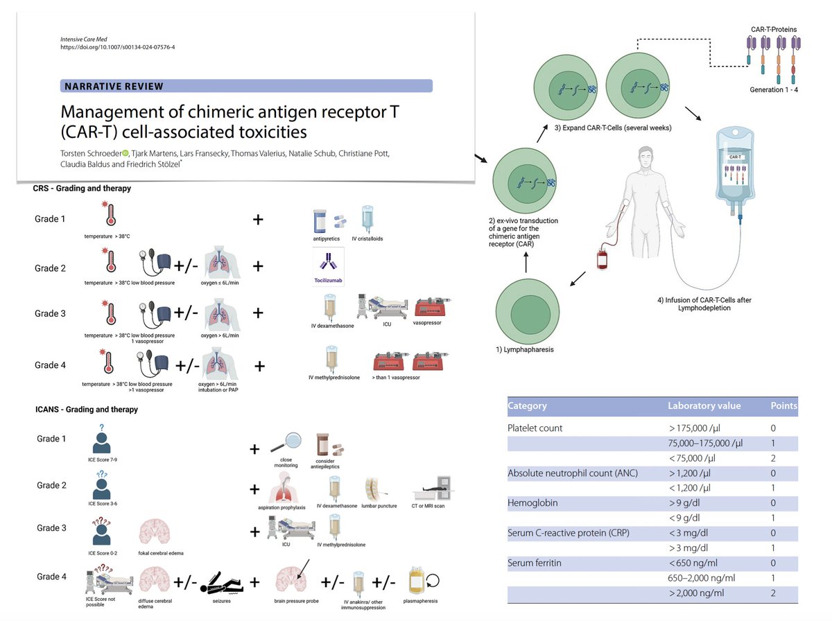 CAR-T cell therapy
🔥 CRS cytokine release syndrome
🧠 neurotoxicity + movement &amp; neurocognitive adverse events
📉 pseudoprogression
🩸 hematotoxicity
🧫 hypogammaglobulinemia &amp; infections
🩸 hemophagocytic lymphohistiocytosis
🫀 cardiotoxicity
#FOAMcc
🖇️ rdcu.be/dRRzt