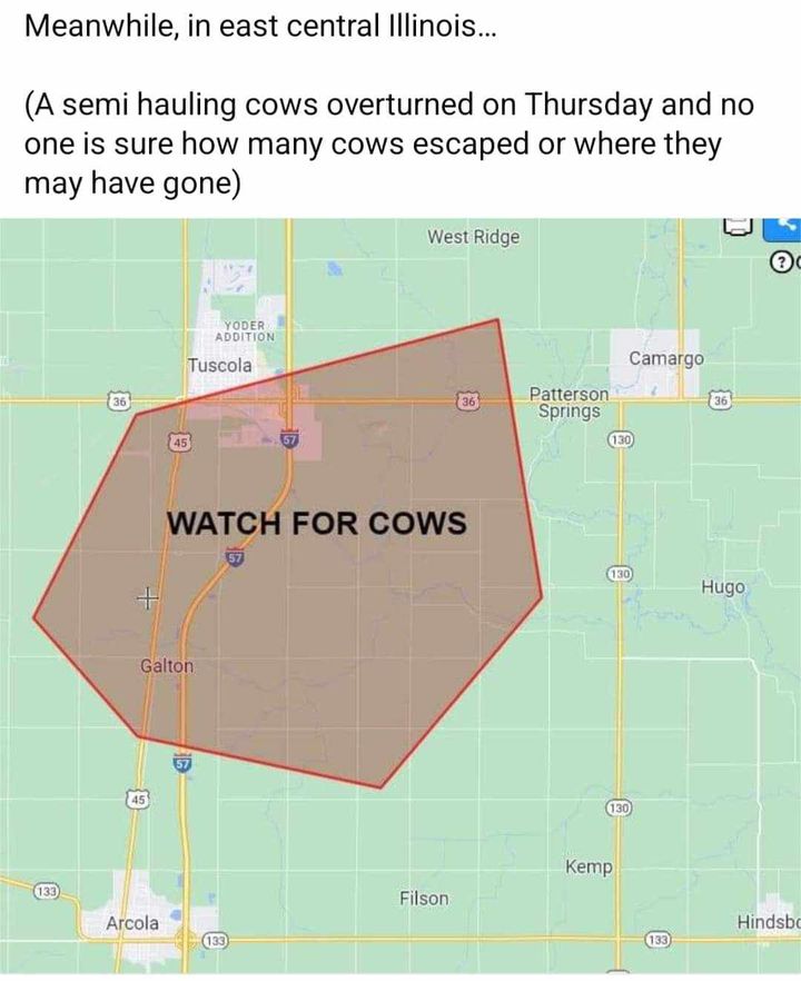 Terrible Maps tweet media