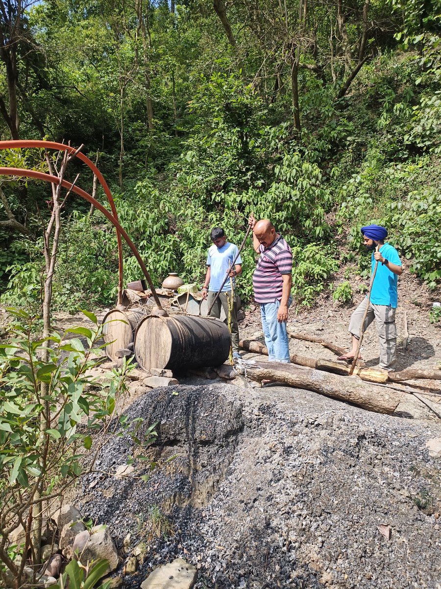The team of PS Majra destroyed 4 illegal liquor kilns in Jamniwala forest and 16 drums filled with >3000L of “Lahan”. Also, illegal liquor furnaces and >1650L of “Lahan” and furnace equipment were destroyed in Khara forest. 
⁦⁦<a href="/himachalpolice/">Himachal Pradesh Police</a>⁩