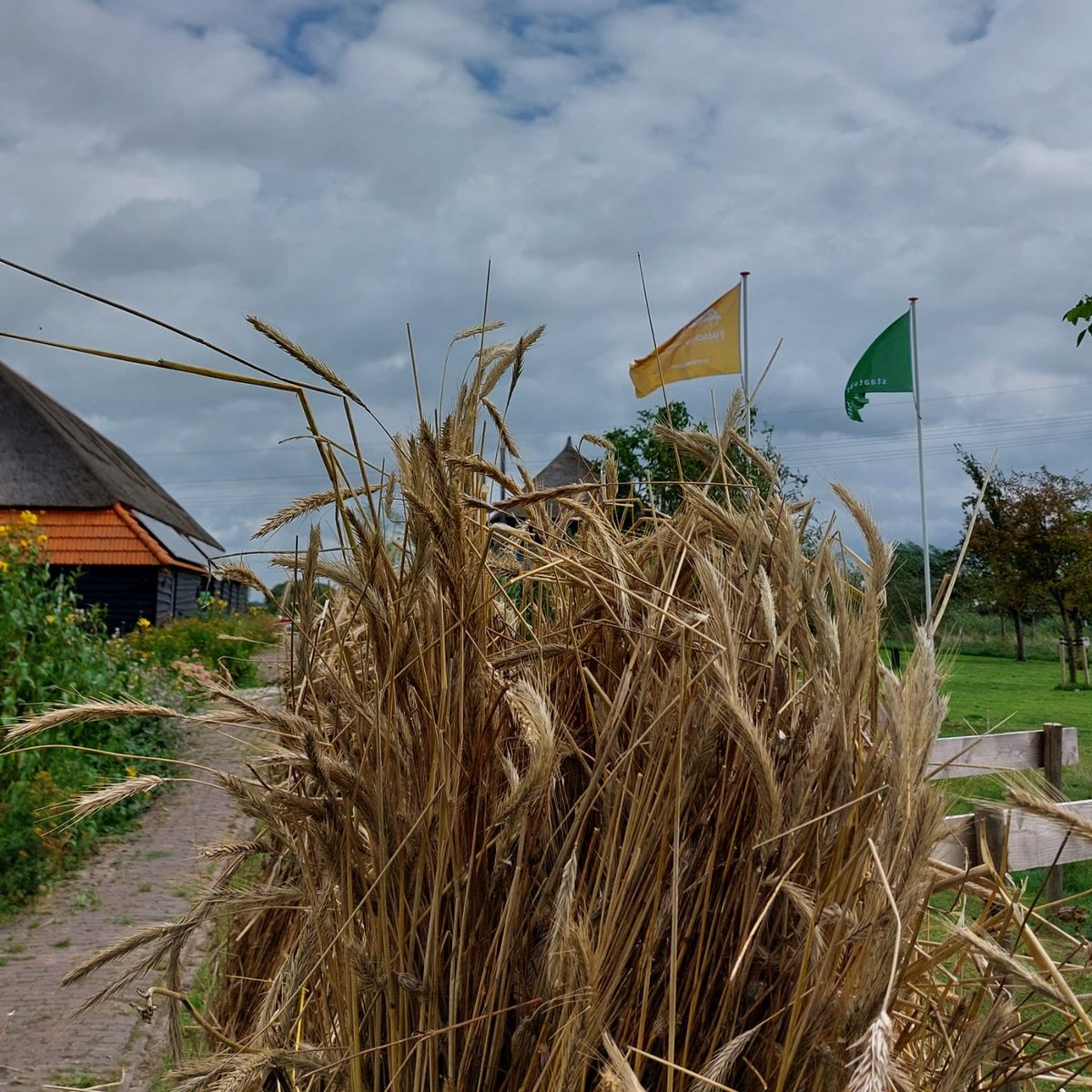 Welkom a.s. woensdag 28 augustus (9.30 - 13.30) bij het oogstfeest. #euifeest #hasselt #rouveen #staphorst <a href="/indeijsseldelta/">In de IJsseldelta</a>