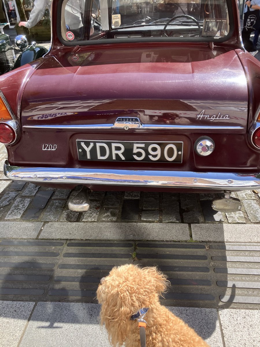 Louise Wright tweet media