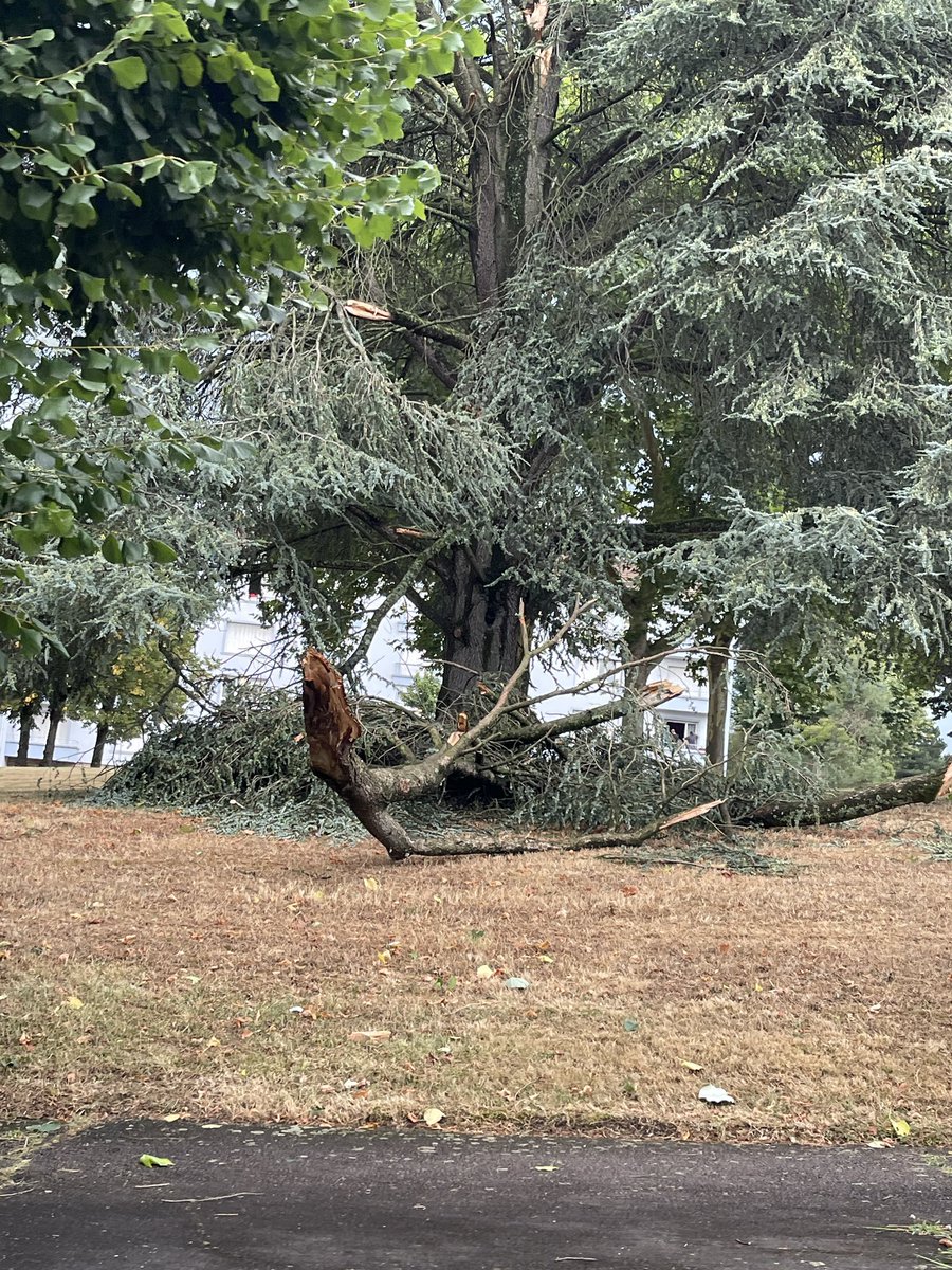 Guillaume tweet media