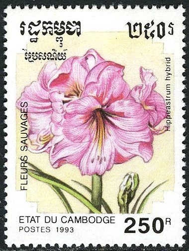 Stamps Bot (@stampsbot) on Twitter photo 