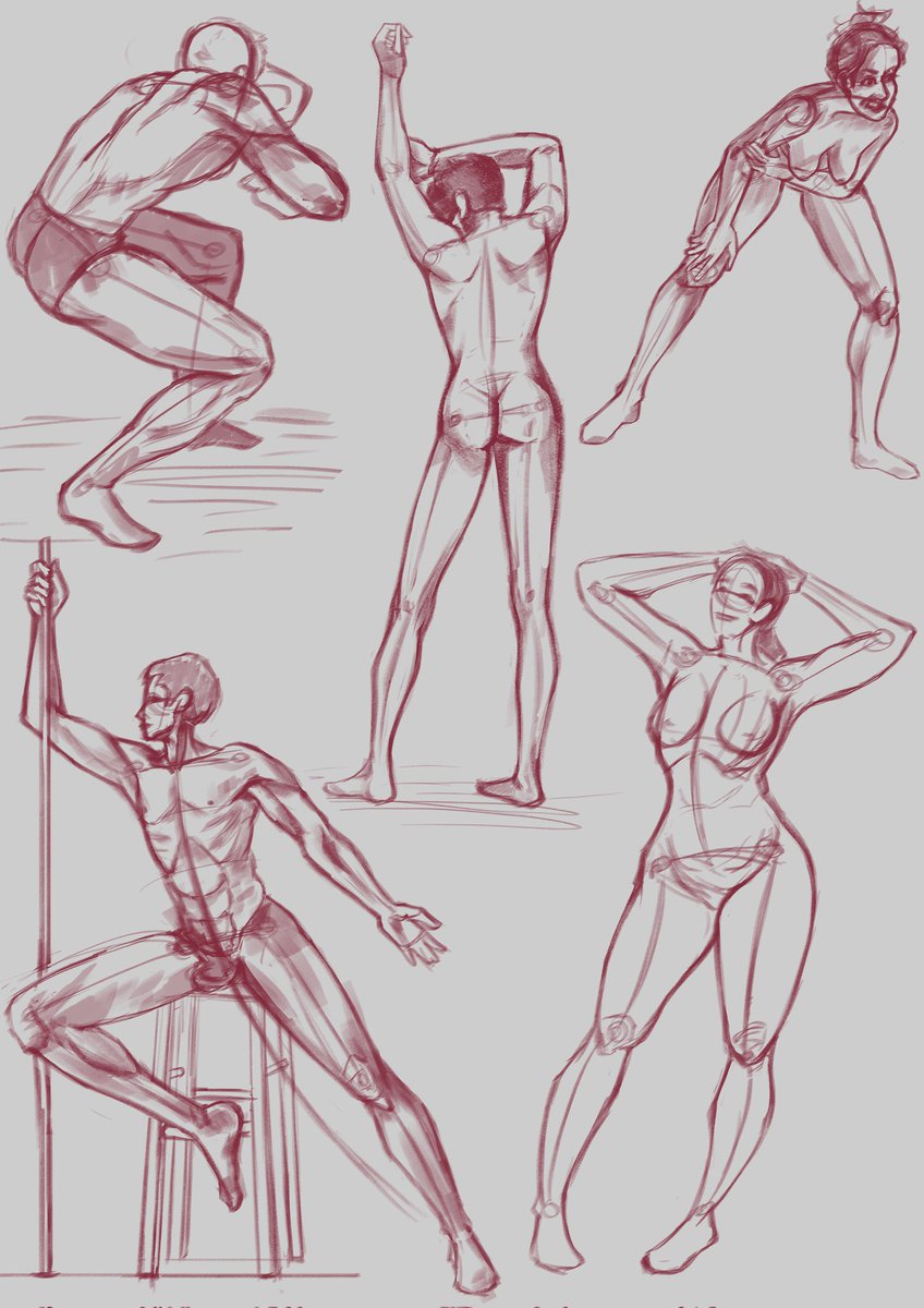 AndraArts's tweet photo. Anatomy studies I did a while ago. 

#anatomystudy #sketches #digitalsketches #anatomy #digitalart https://t.co/09mzkSfAqI
