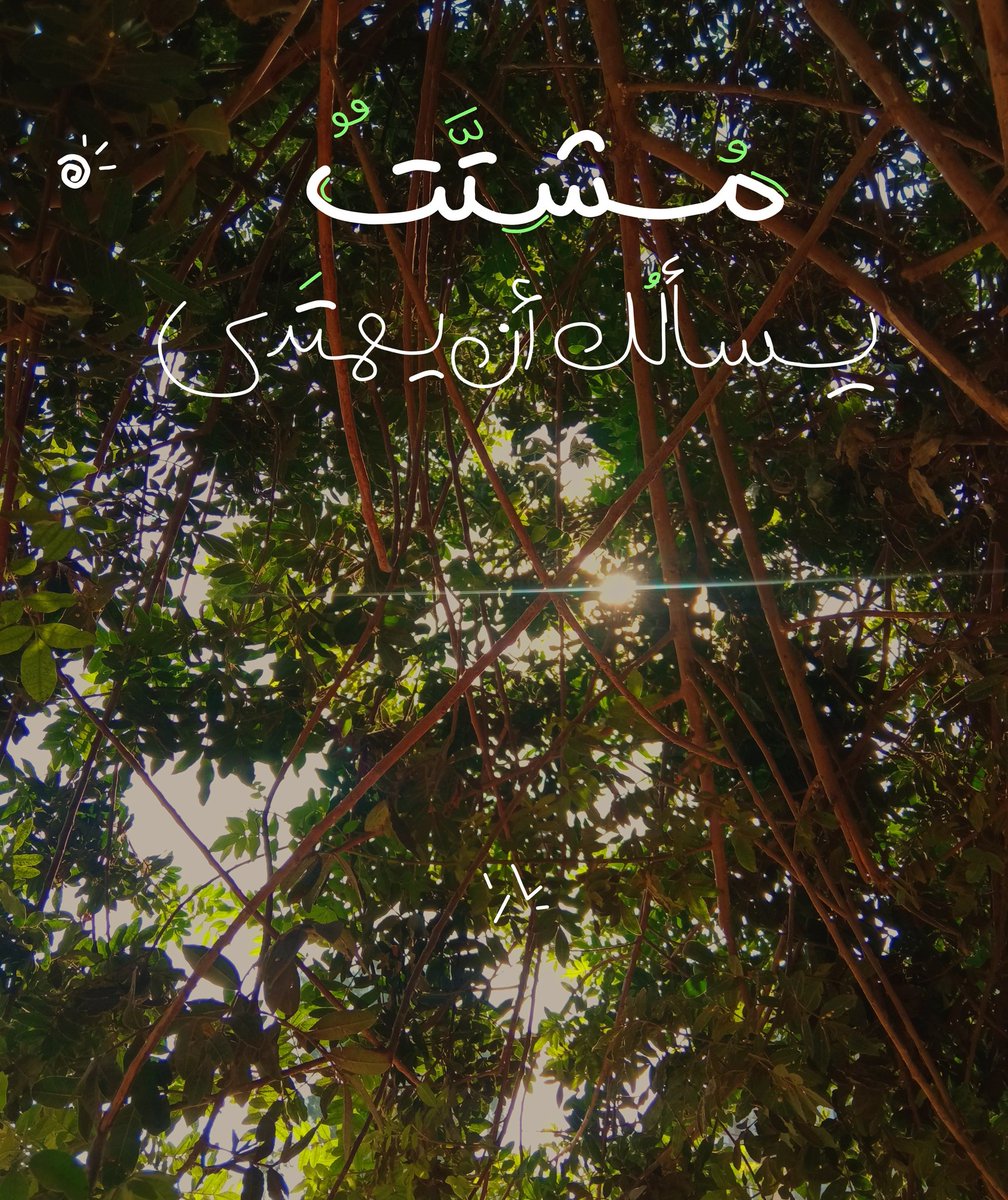 مُشتَّتٌ؛ يسألُكَ أن يهتَدي.