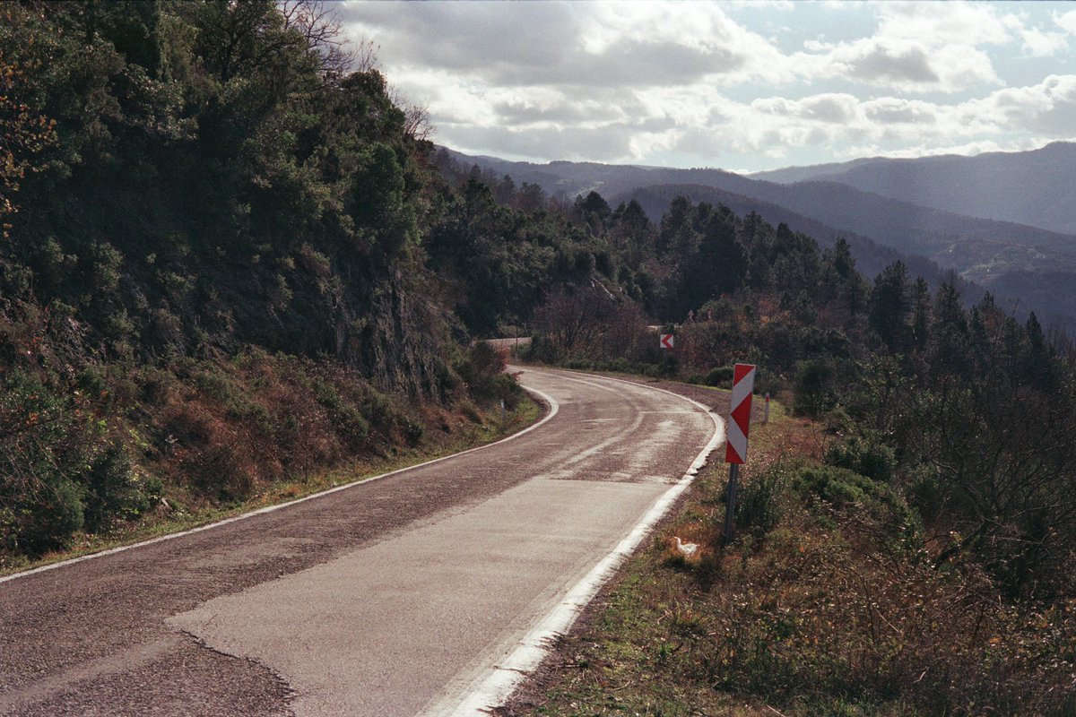 İsmail Terzi tweet media