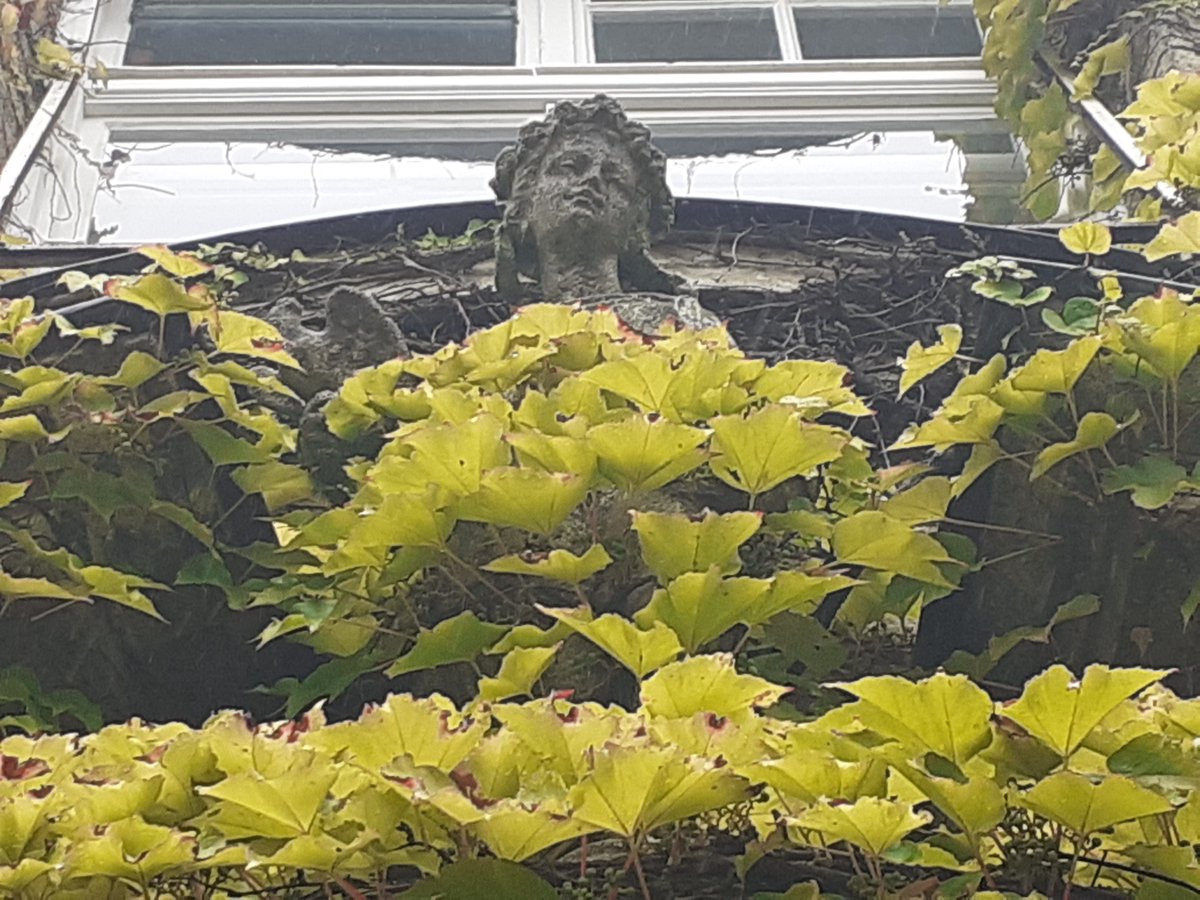 toulouse81677's tweet photo. #Botanischer #Garten #Muenchen https://t.co/k6lYbnpTh2