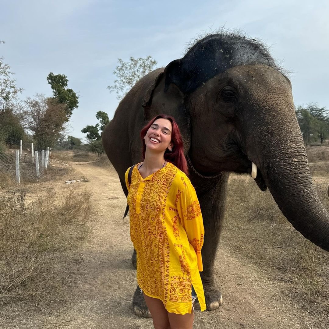 DUA LIPA tweet media