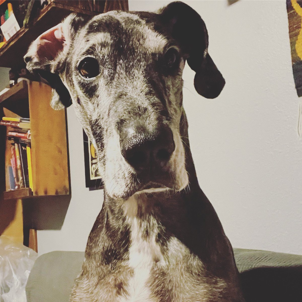 olygeeks tweet media