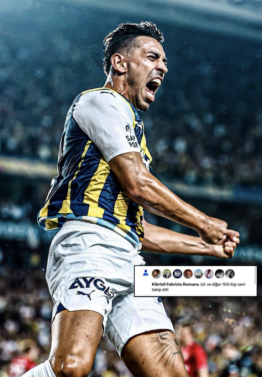 🚨 Tüm Fenerbahçelileri bu tweetin altında takipleşmeye davet ediyorum. Bende dönüş sağlıyorum takiplere.
