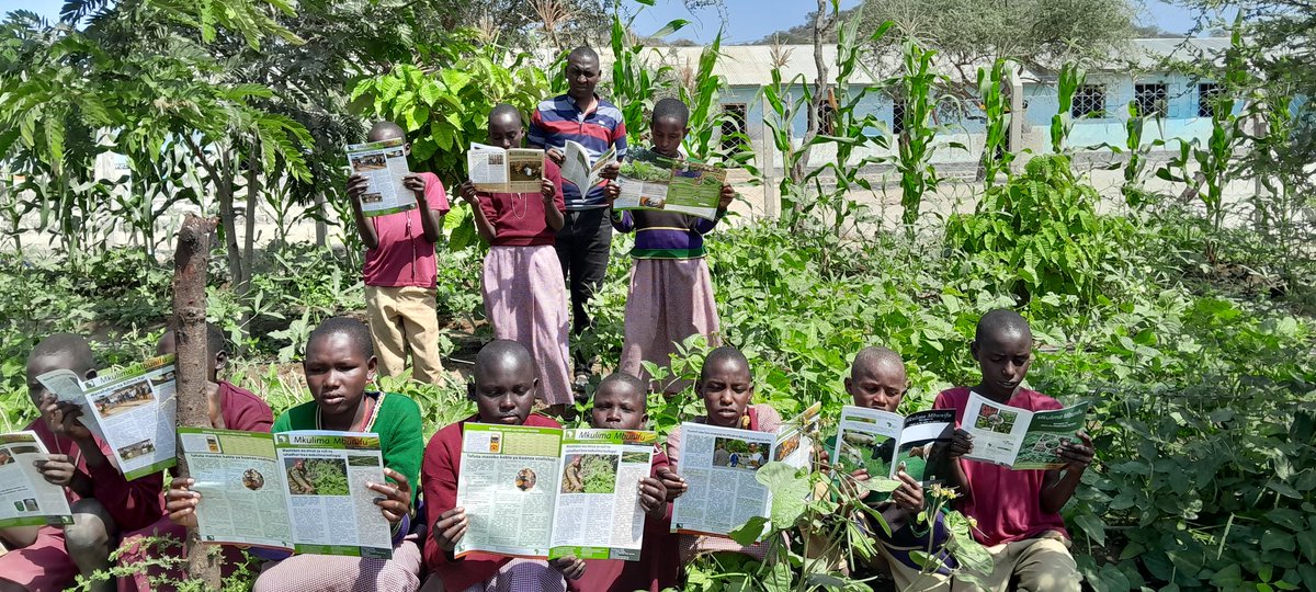 KilPermaculture's tweet photo. Permaculture/Organic School Garden at Longido https://t.co/1lEuLe7etr