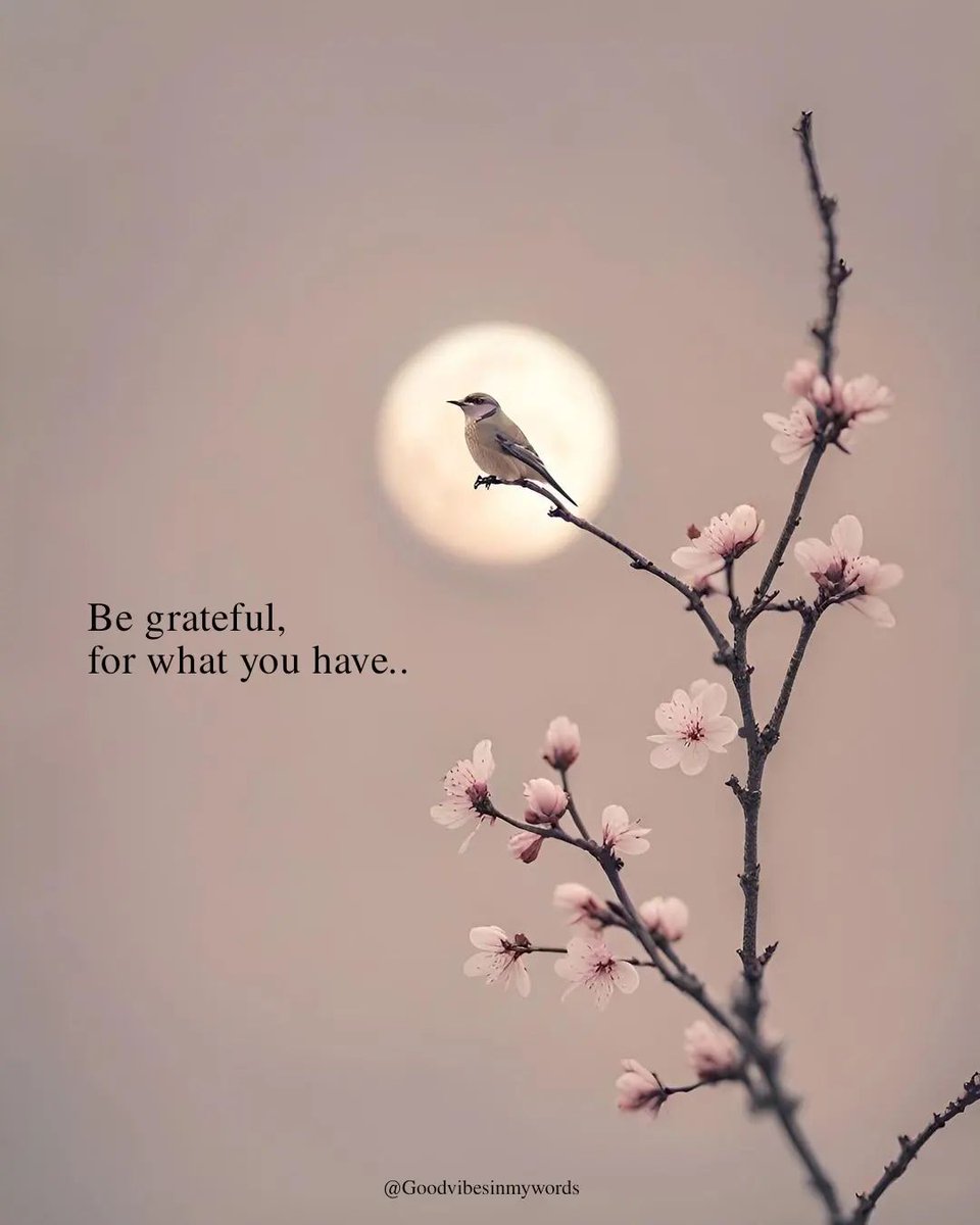 Mind Essentials tweet media