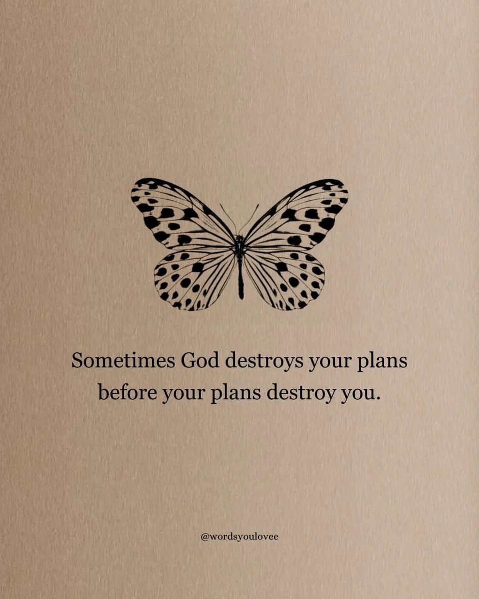 Mind Essentials (@mind_essentials) on Twitter photo 