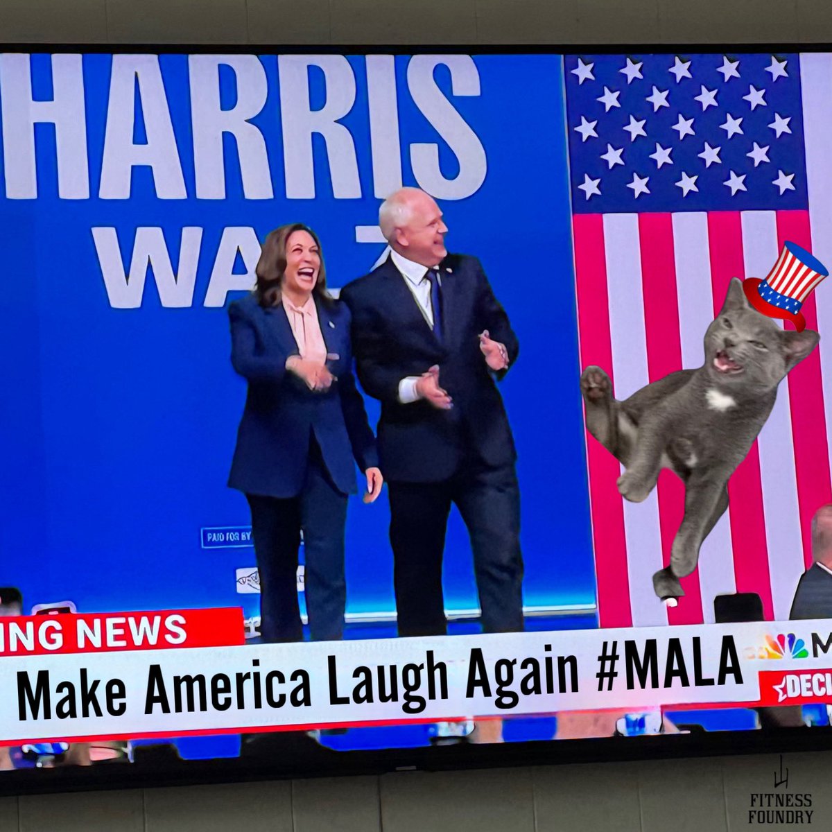 FitnessFoundry's tweet photo. @MaryLTrump #CatsForKamala 🐾🇺🇸😸 https://t.co/PqDiapQyzs