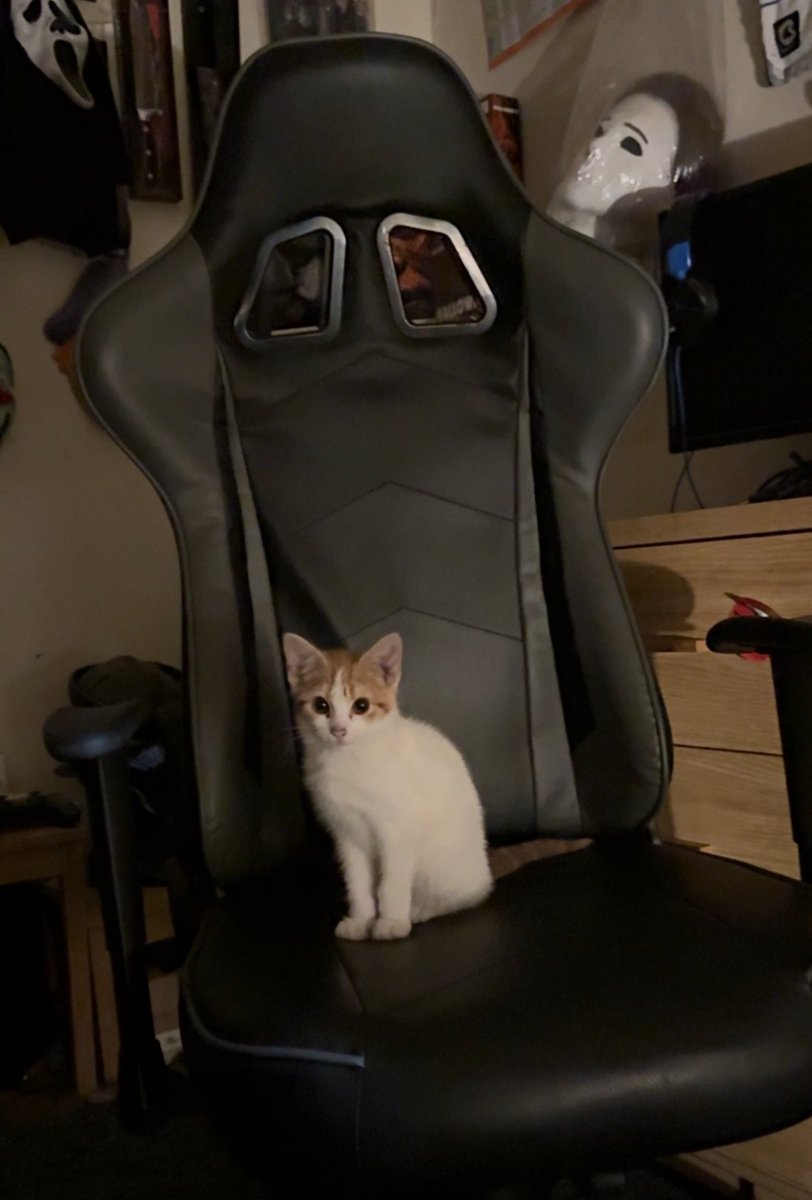 My next Mortal Kombat 1 Stream is on Monday and will be done by My Kameo. I am on vacation leave. 

Thank you
- sikander555