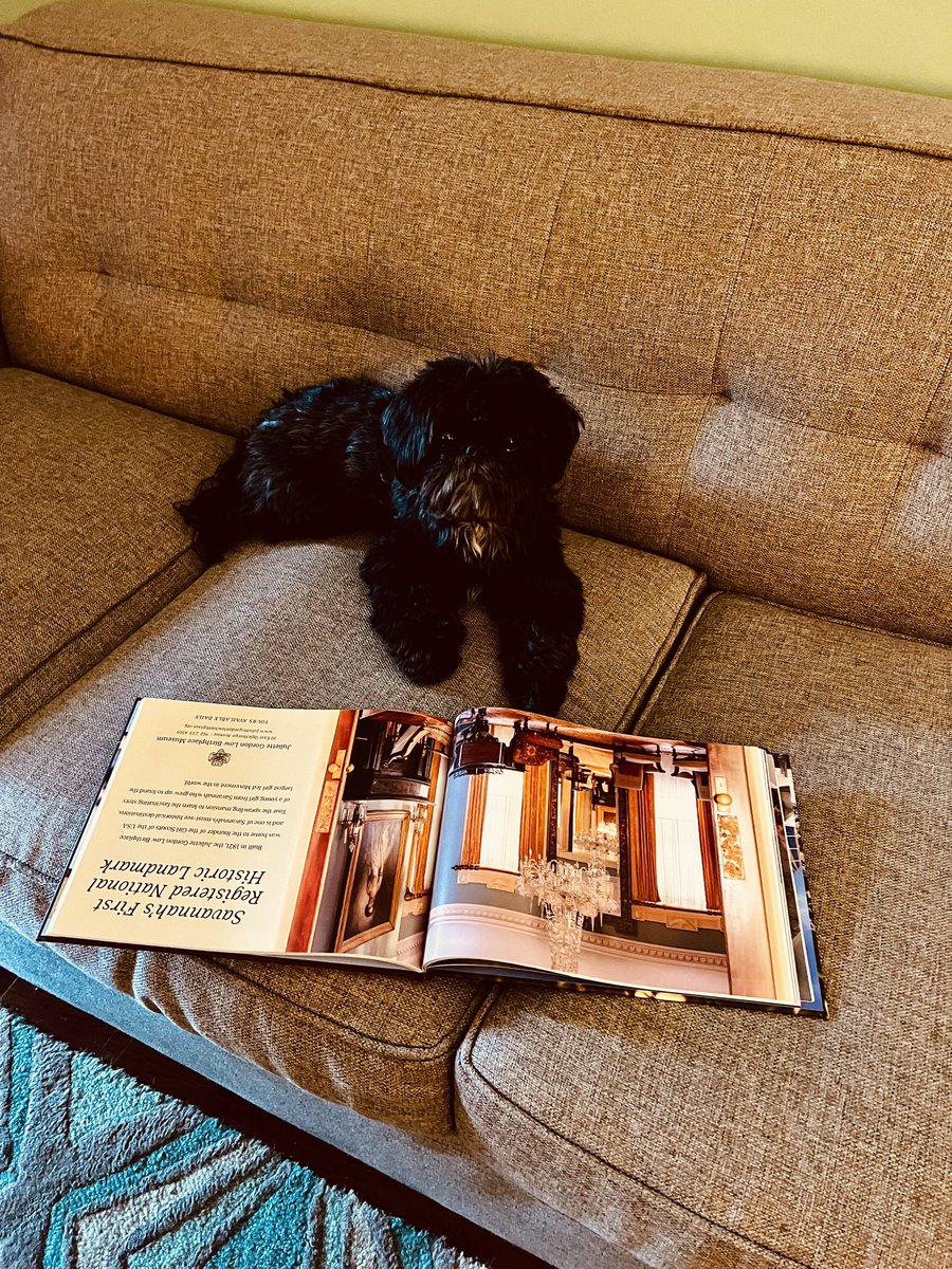 LMInvestment's tweet photo. #Savannah we have arrived.  Looking forward to a nice weekend.  My little ink spot is hard to capture photos of sometimes but here he is learning about Savannah relaxing in the suite our sweet #CabinDaddy also now #HotelDaddy procured for us. 🐶😂❤️ https://t.co/9Qu5Du8ofz