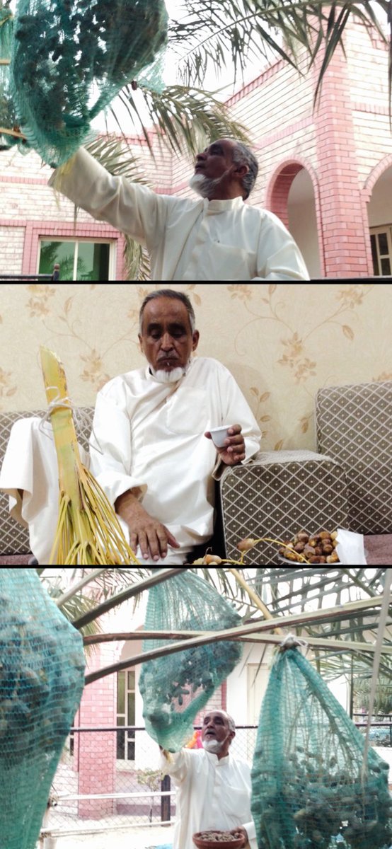 كان الوالد رحمه الله رحمةً واسعه في مثل هذا الوقت من العام يحب الرطب ويفرح به ويحرص عليه
ويرتبه بيده للضيوف في ديوانه
فرحمه الله ﷻ 
وجعله في الفردوس الاعلى من الجنة يقطف من ثمارها ويتنعم في بساتينها وتتدلى عليه اغصانها
اللهم ارض عنه واجعل قبره روضة من رياض الجنة
اللهم آمين