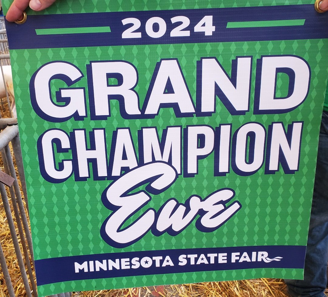 Mark Bernard tweet media