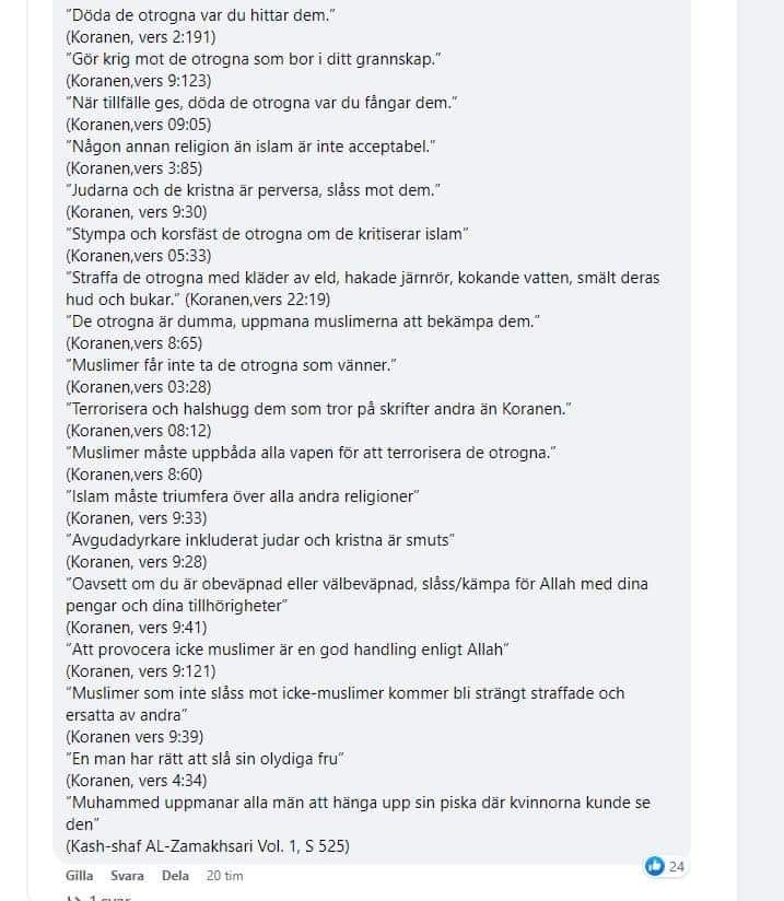 SDSTEFFE tweet media