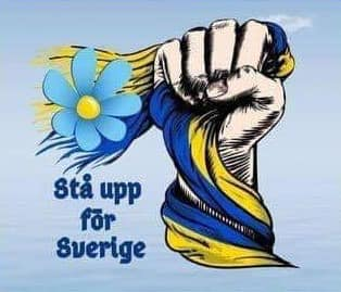 SDSTEFFE tweet media
