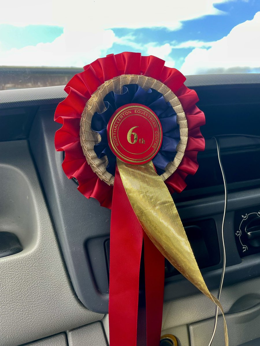 Today Sparrow &amp; I did a thing! First ever competition, first ever ODE (mini!) 
Thank you for Kerry &amp; Laura for bullying/encouraging me into doing this &amp; thank you to Sparrow for being such a good boy! So proud of my little pidge 🐦
&amp; thanks guys for the wine this evening too 😂🍷