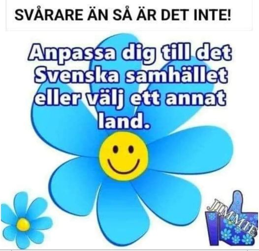 SDSTEFFE tweet media