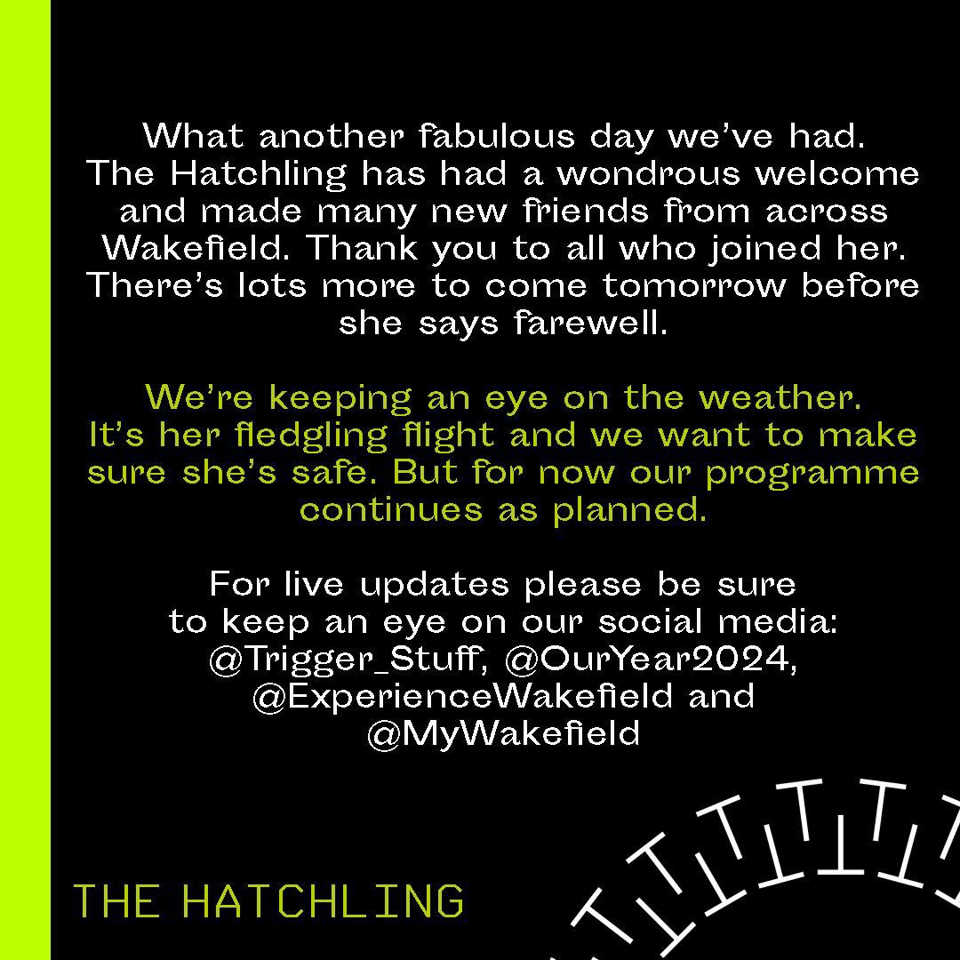 TriggerStuff's tweet photo. What another fabulous day we’ve had. 

We’re keeping an eye on the weather. It’s her fledgling flight and we want to make sure she’s safe. But for now our programme continues as planned. For live updates follow @TriggerStuff , @OurYear2024, @Expwakefield https://t.co/KWTeC56x3s