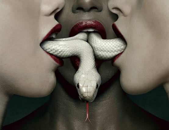 🐍🐍🐍 #DilemaTVI