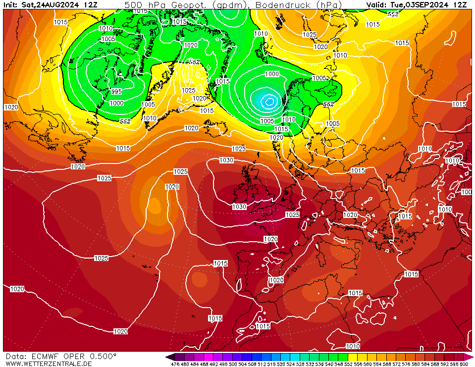 Like clockwork... Early September... And back comes Summer... 🔥