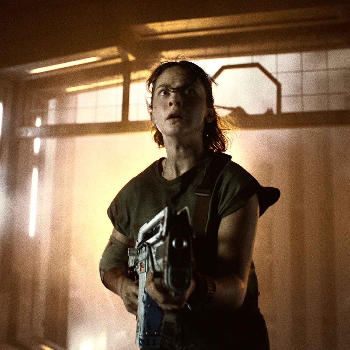 Ashton Gleckman tweet media