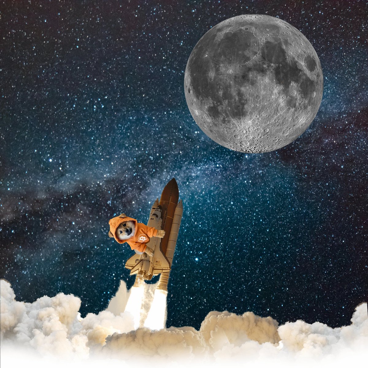 LeonidasNFT's tweet image. $DOG IS NOW UP 2.3X SINCE THE LOCAL BOTTOM EARLIER THIS MONTH

RUNES ARE OFFICIALLY BACK

$DOG GO TO THE MOON!!!!!!!!!!!!!!!!!!!!!!!