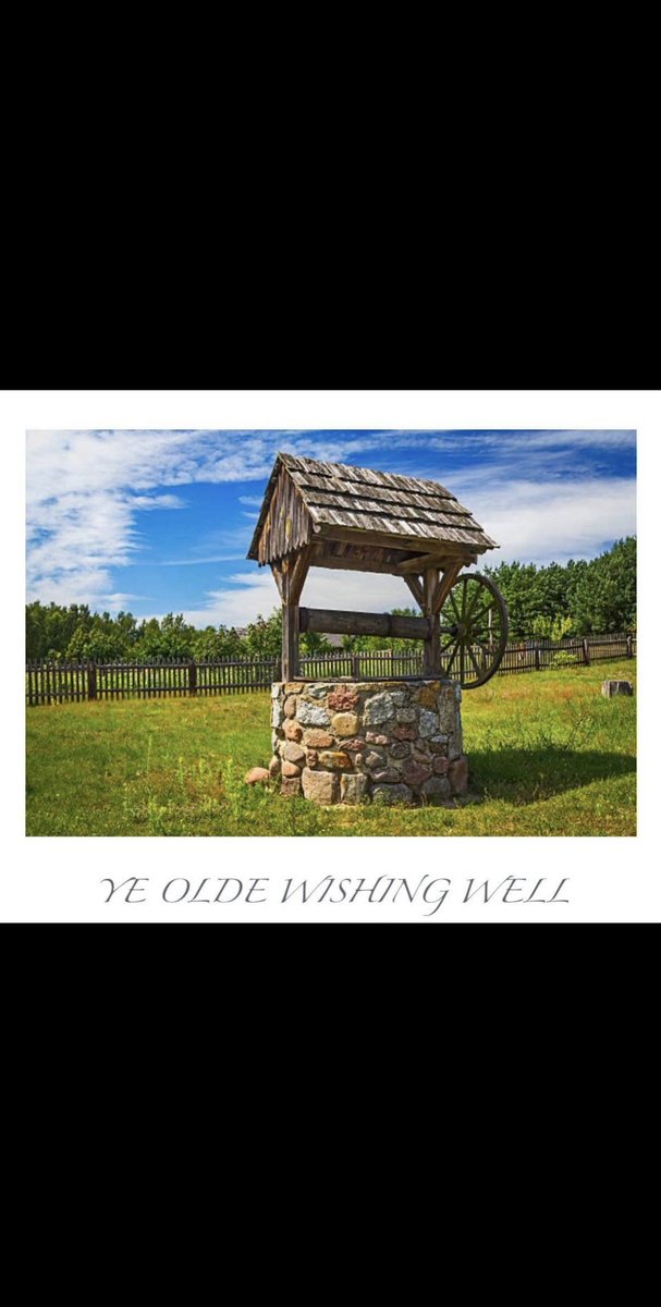 Turtléar tweet media