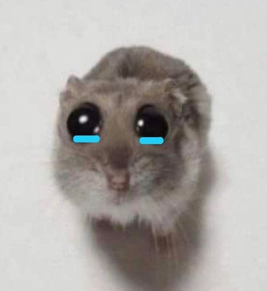 thiccyratty's tweet photo. no cheese? https://t.co/0DBCR84dDO