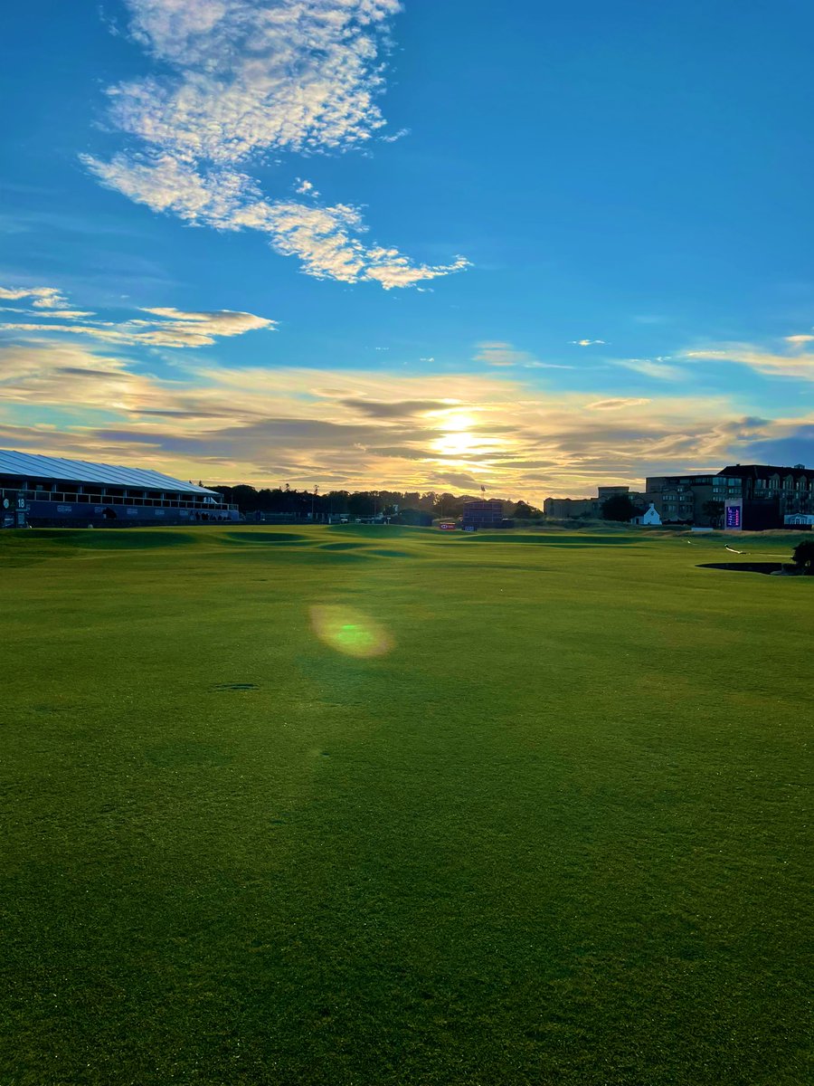 Fernando Garza B. tweet media