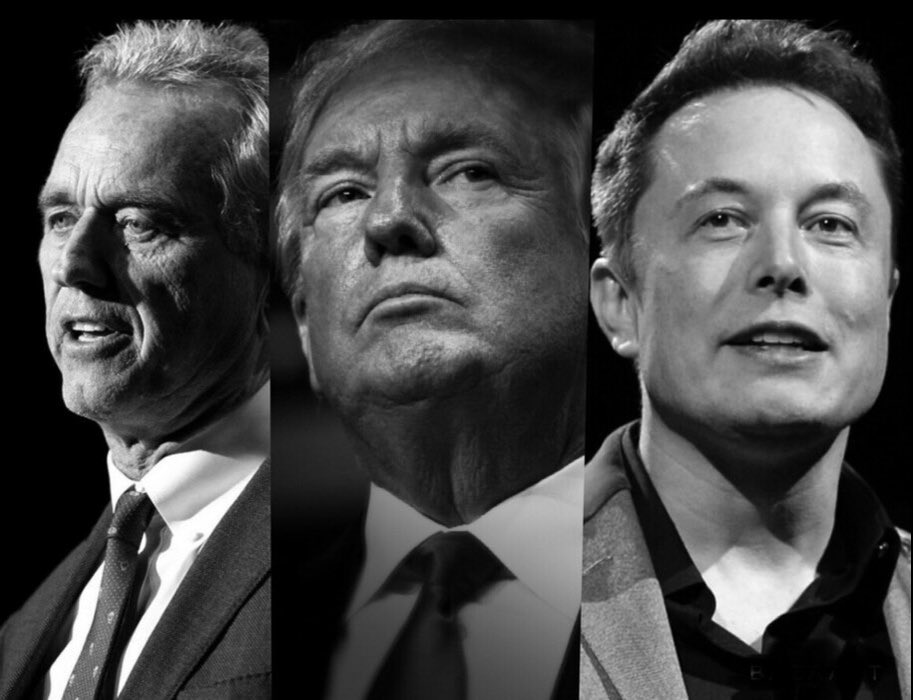 Steve 🇺🇸 tweet media