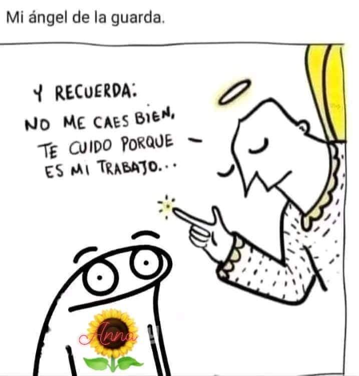 El Meme tweet media