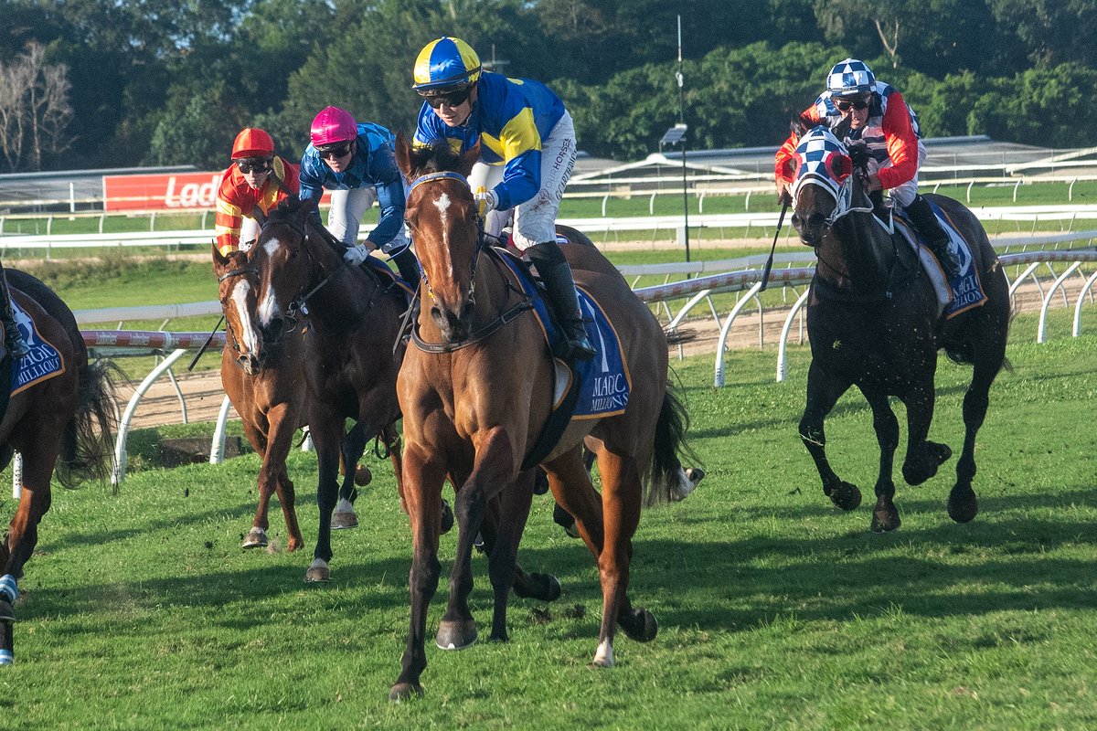 Magic Millions tweet media