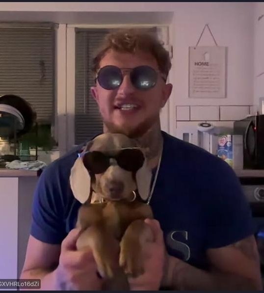 Oscar Dog tweet media