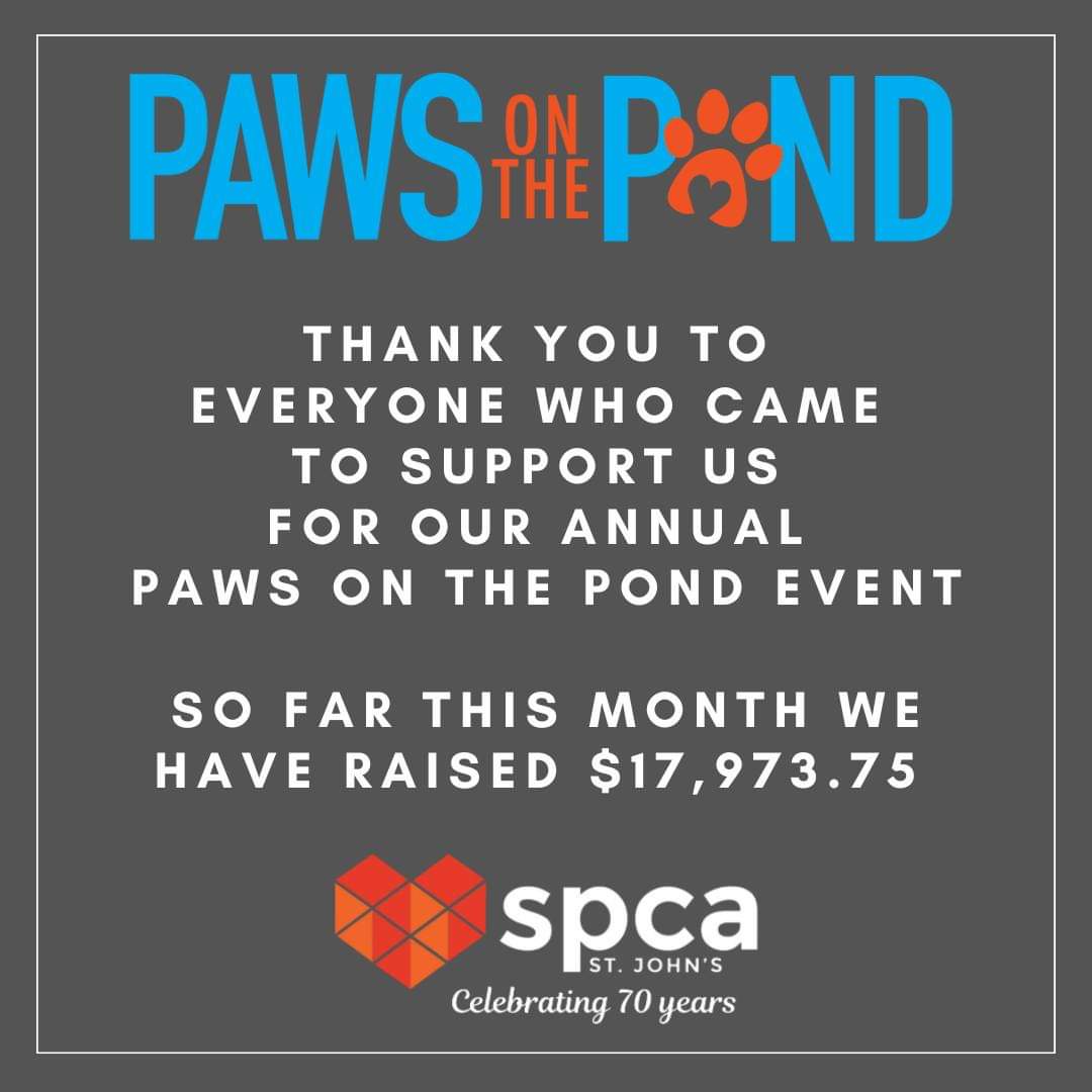📣📣  Thank you to everyone who came out in support of our Annual Paws on the Pond Event.  It's because of you that we are only $26.25 away of meeting our $18,000 goal.🧡 

There is still time to donate! ⬇️

canadahelps.org/en/charities/s…