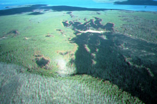 SE_Future's tweet image. The Nuance in Fire Research Reporting dlvr.it/TCKwJ9