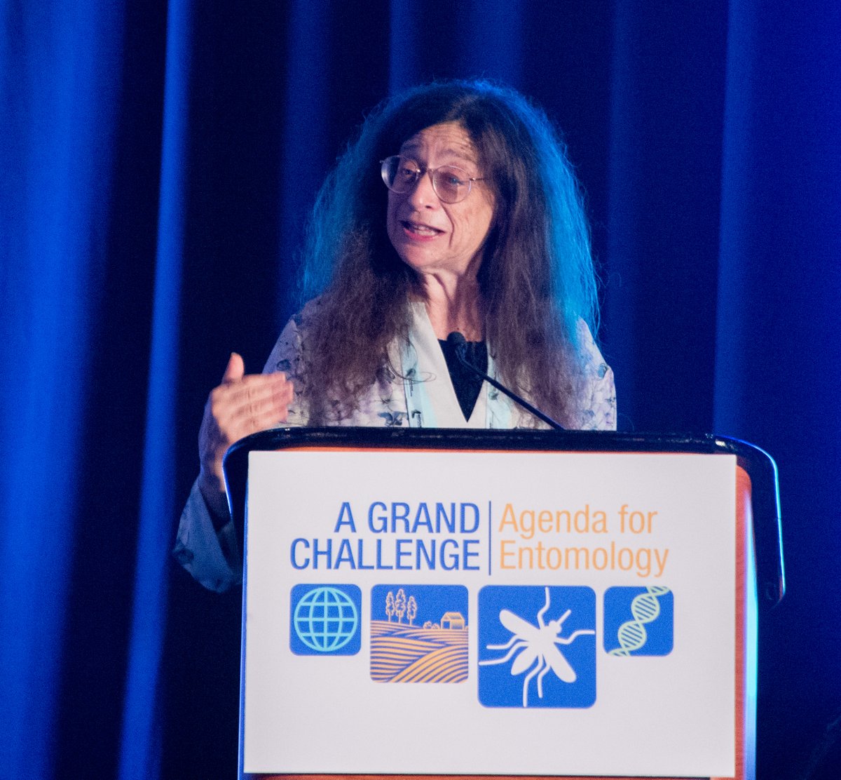 Walter Leal tweet media