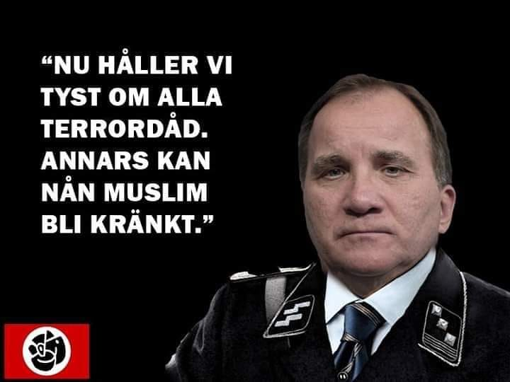 SDSTEFFE tweet media