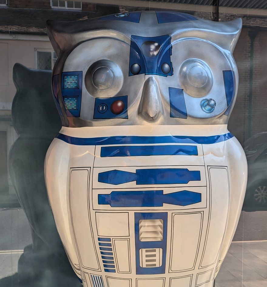 The Novium Museum tweet media