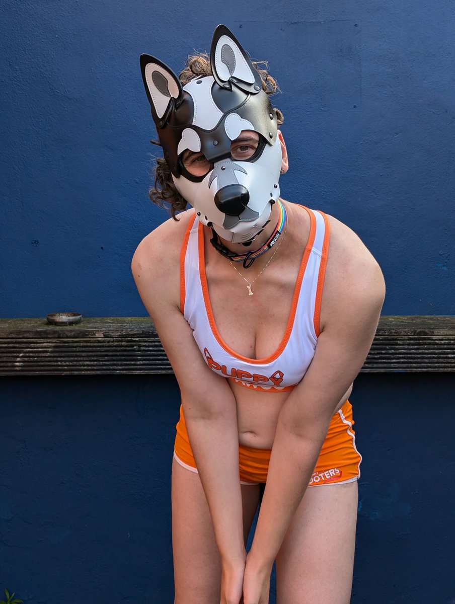 Just started for puppy hooters. Hot I get lots of tips 🥴🥵
📸 <a href="/Pup_Saxon/">Saxon</a>