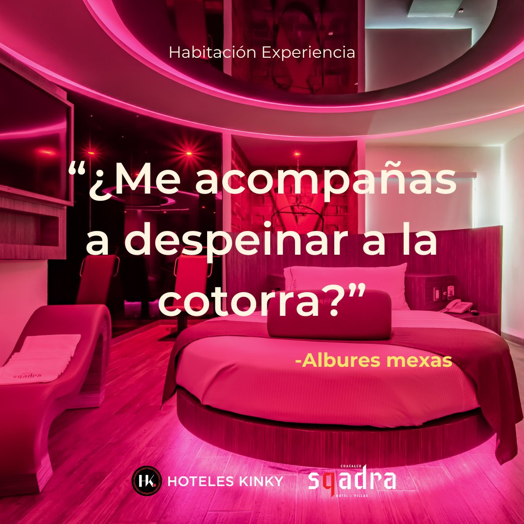 HotelesKinky's tweet photo. ¿Despeinar la cotorra? ¿Qué pájaro es ese? 🤔🦜
Si tú si entendiste, etiqueta a la persona con quien irás al Love Hotel Sqadra a despeinar algo más 🤣🙈🌶️
🔗 https://t.co/e2Iwi0sj4X
#LoveHotelSqadra #albures #cotorra #faje https://t.co/ieK9hdt3gl